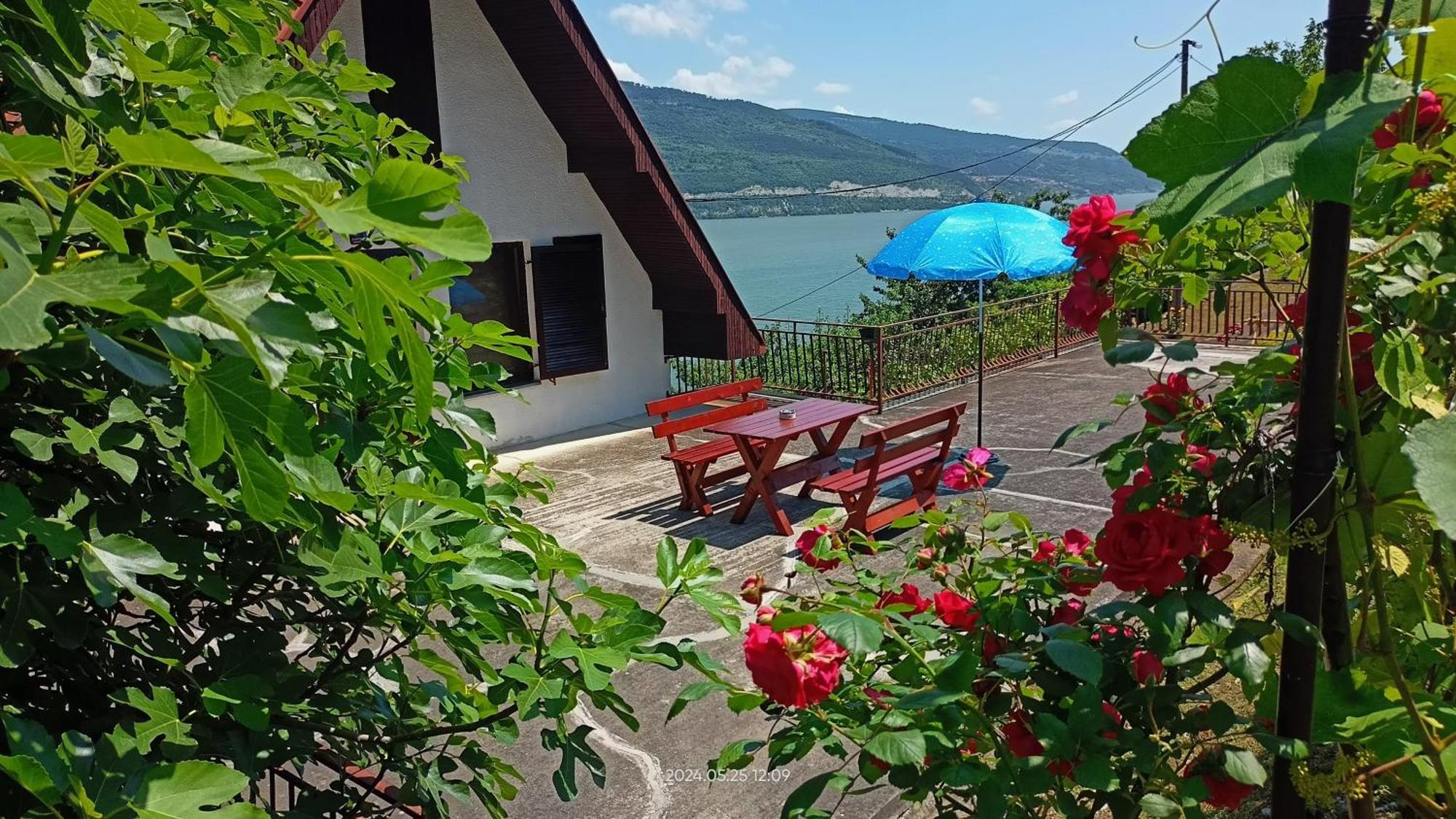 Apartman Duric Donji Milanovac Exteriér fotografie