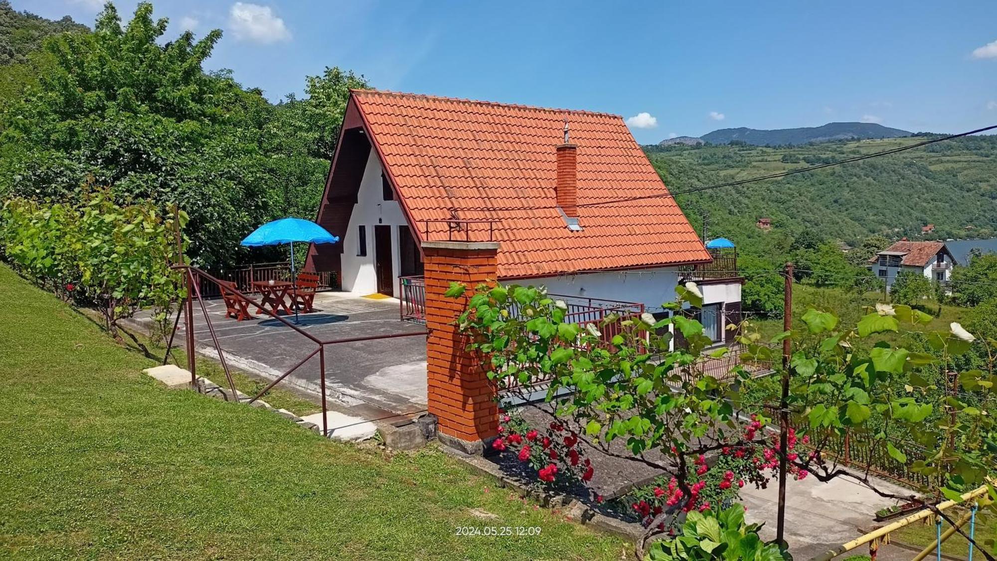 Apartman Duric Donji Milanovac Exteriér fotografie